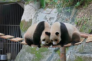 个人秀！贝林厄姆连过两人射门中框！维尼修斯空位补射打飞！